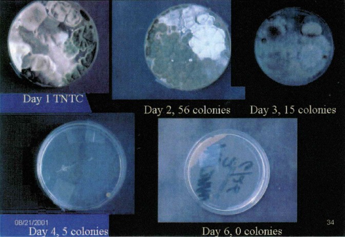 An endoscopic photo showing the mold count in the patient's room air before and after room air mold remediation with the endoscopic photographs showing the purulent infection clearing after the mold count drops to 4 colonies.
